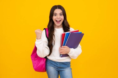 12, 13, 14 yaşlarında kitap ve defter tutan bir kız çocuğu. Tecrit edilmiş bir geçmişi olan genç bir kız öğrenci. Öğrenme ve bilgi eğitimi kavramı. Heyecanlı genç kız