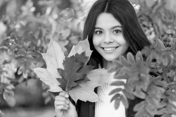 Criança Feliz Com Outono Folhas Coloridas Rowan Árvore Retrato — Fotografia de Stock