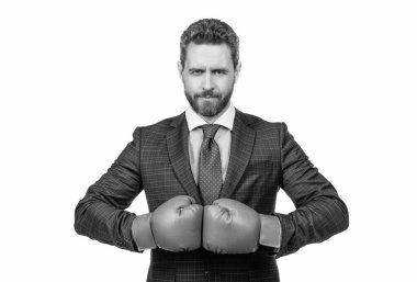 Seni bayıltacağım. Ciddi patron boks eldiveni giyer. Boks yarışması. İş rekabeti. Rekabetçi antrenman. Meydan okuma.