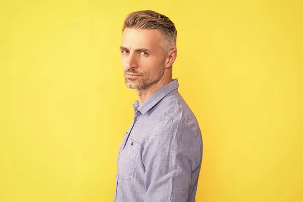 serious man with gray beard. hair and beard care. male fashion model on yellow background. handsome guy with graying bristle. mens beauty. hoary man portrait with grizzled hairstyle.