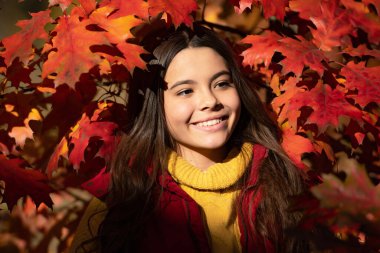 Sonbahar kızı yüzü güz yaprağı arka planında. 12, 13, 14 yaşlarında sonbahar çocuğu bir portre. Neşeli çocuk güzel sonbahar yapraklarında duruyor..