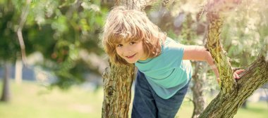 Ağaçlara tırmanmak her zaman eğlencelidir. Aktif çocuk ağaca tırmanır. Çocukluk eğlencesi. Yaz aktiviteleri. Yatay poster tasarımı. Web başlığı, boşluğu kopyala