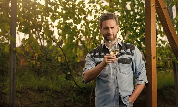 positive viticulturist man farmer drink wine at grape farm, copy space, wine-grower.