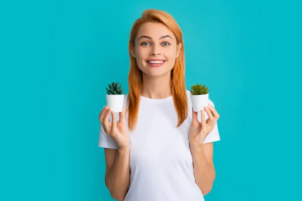 Mujer Sosteniendo Pequeño Cactus Las Manos Suavemente Sobre Fondo Azul — Foto de Stock