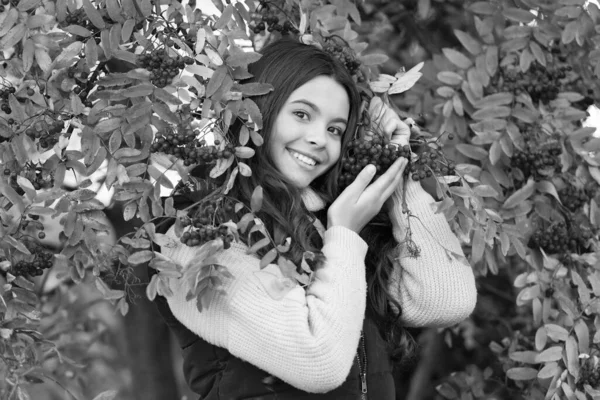 Menina Adolescente Com Outono Rowan Folhas Segurar Baga Criança Feliz — Fotografia de Stock