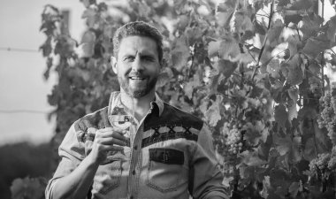 Şarap kadehli sakallı adam. Şarap kadehli mutlu bir enolog. Şarap garsonu. Çiftçi şarap içer. Şerefe! Vinedresser içiyor. Erkek üzüm bağı sahibi. Üzüm çiftliğinde profesyonel şarap üreticisi.