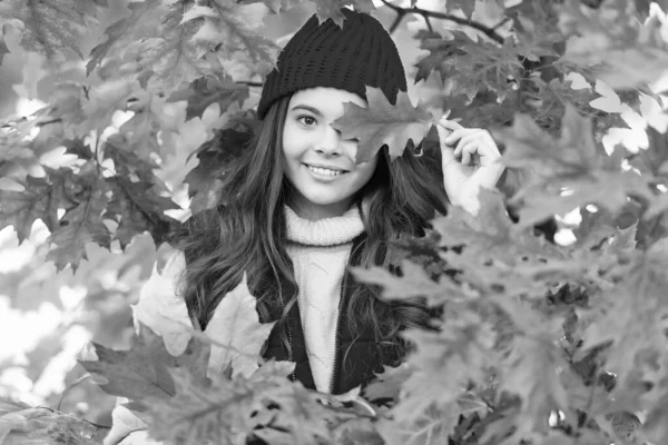 Felice Ragazza Adolescente Cappello Con Foglie Quercia Colorate Autunno Autunno — Foto Stock