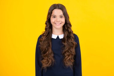 Güzel genç kız öğrenci. Tecrit edilmiş bir arka planda genç bir kızın portresi. Zeki liseli kız, zeki inek çocuk.