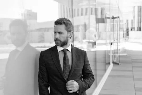 Mature Bearded Man Businessperson Businesslike Formal Suit Office Formalwear — Stock Photo, Image