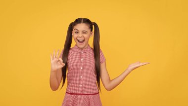 Göz kırpan çocuk ürün sunuyor, kopyalama alanı. Tamam. Sarı arka planda genç kız reklamı. Mutlu çocuk portresi. Duyuru. Alışveriş ve indirim. Teklif et ve öner. ürün önerisi.