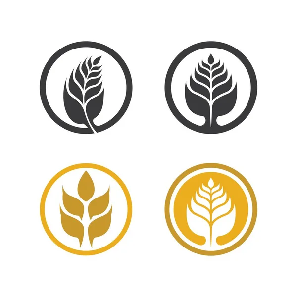 Wheat Logo Images Illustration Design — Stock Vector