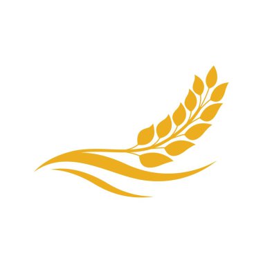 Buğday logosu resim çizimi tasarımı