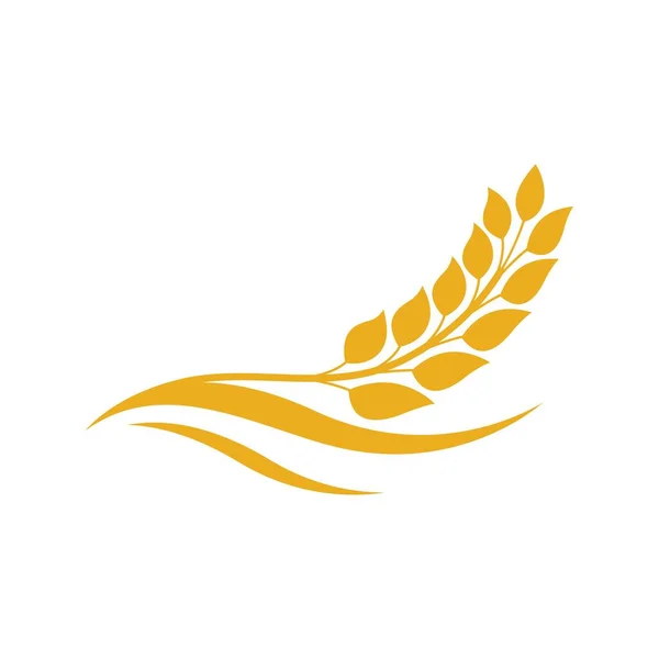 Wheat Logo Images Illustration Design — Stock Vector