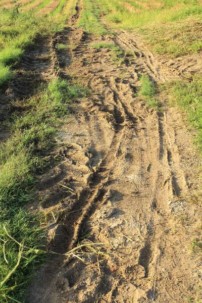 Radspuren Eines Traktors Auf Dem Boden Einem Feld — Stockfoto