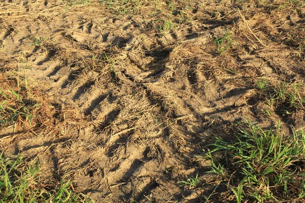 Radspuren Eines Traktors Auf Dem Boden Einem Feld — Stockfoto