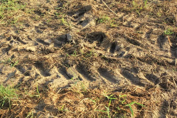 Radspuren Eines Traktors Auf Dem Boden Einem Feld — Stockfoto