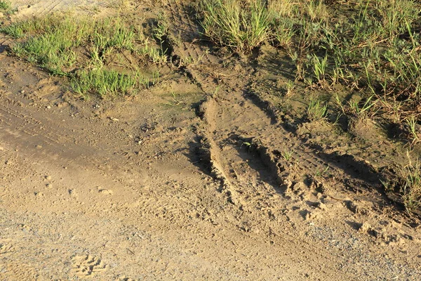 Radspuren Eines Traktors Auf Dem Boden Einem Feld — Stockfoto