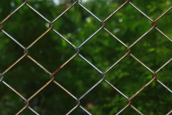 Bahçedeki demir tel örgüler