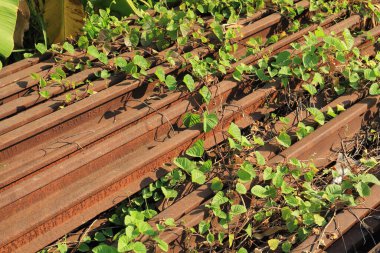 Demiryolu parça Tayland