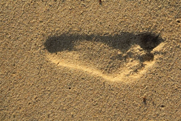 Pegadas Praia Arenosa — Fotografia de Stock