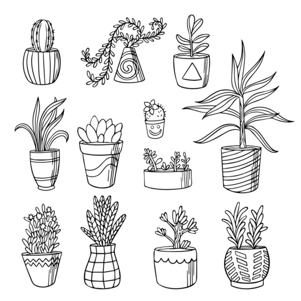 Rośliny Domowe Zestawie Doodle Wektor Trawki Izolowane Ikony Liniowe Kaktusa — Wektor stockowy