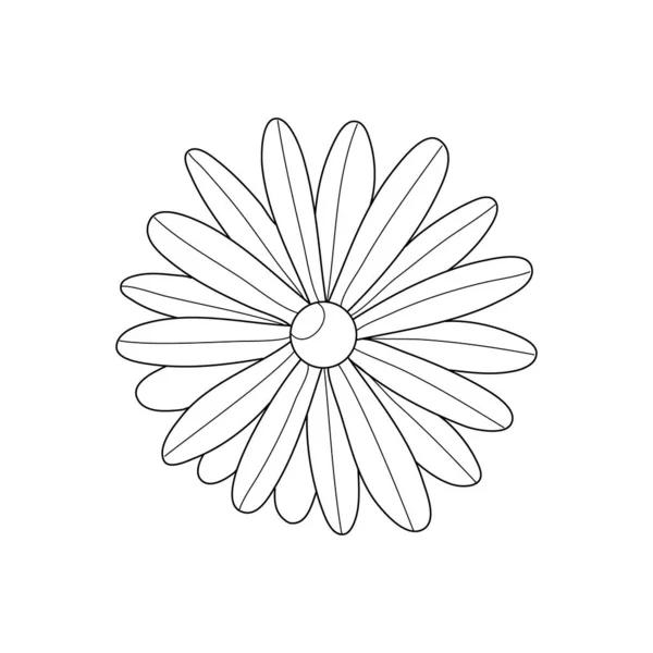 Ромашковый Цветок Стиле Каракулей Раскраска Ботанической Книги Взрослых Элементами Zentangle — стоковый вектор