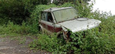 Ormanın kenarında terk edilmiş paslı, yıpranmış klasik bir arabanın fotoğrafı. Sadece geçmişi hatırlayabiliyorum. Genç ve muzafferdim. Zamanın ilerlediğini unut..