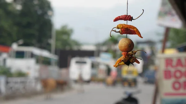 Sušené Papriky Indickém Bazaru — Stock fotografie