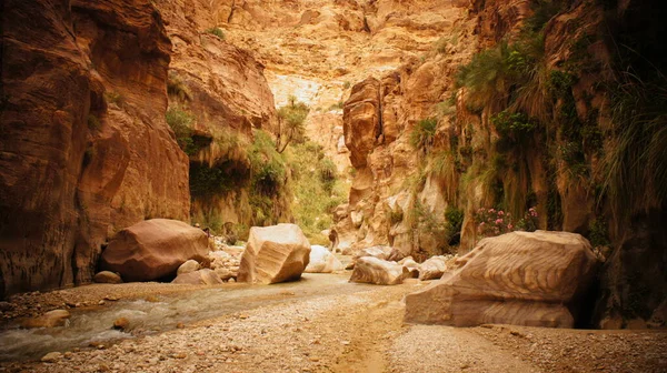 Bella Vista Sulla Natura — Foto Stock