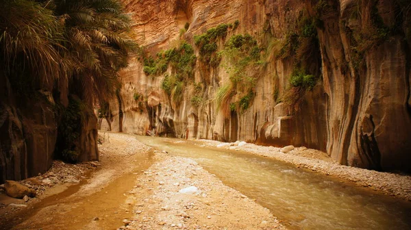 Hermosa Vista Cueva Ciudad Del Estado Israel — Foto de Stock