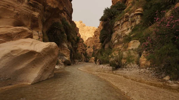 Vacker Utsikt Över Bergen Dalen Negev Öknen — Stockfoto