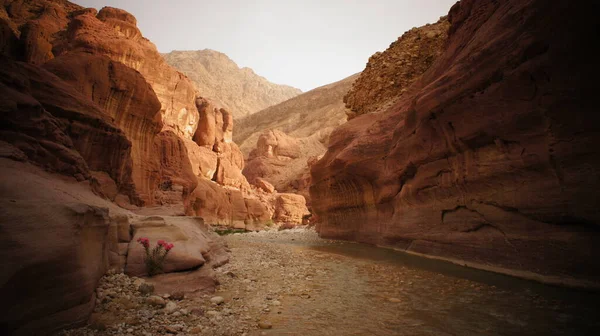 Det Vackra Landskapet Wadi Rom Canyon Jordanien — Stockfoto