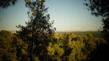 Doğanın güzel manzarası