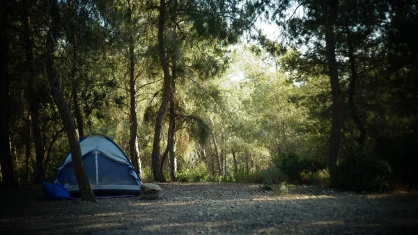 Палатка Кемпинга Лесу — стоковое фото