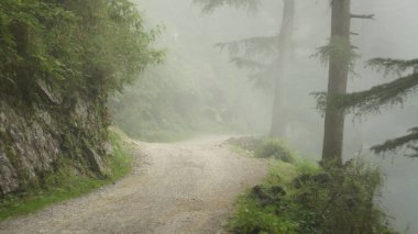 Yol ormandaki yoldur, tozlu bir yol, güzel bir manzara, sisli bir yer.