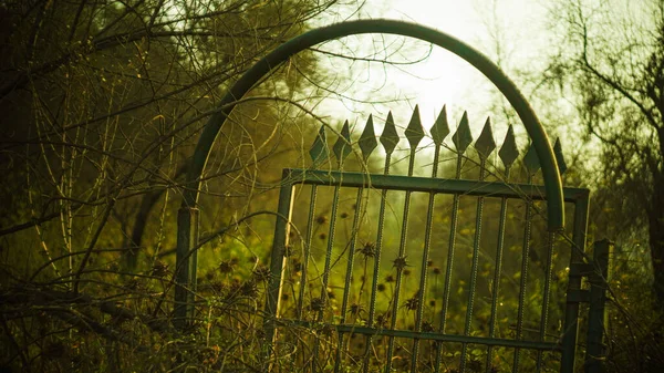 Gammalt Trästaket Parken — Stockfoto