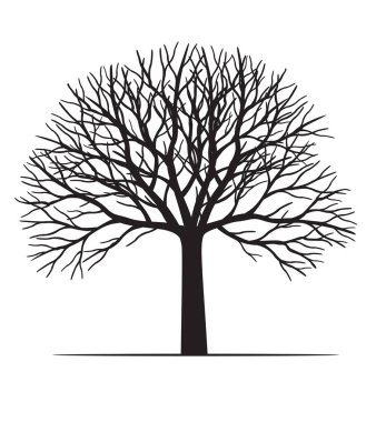 Shape of Black Tree without leaves. Vector outline Illustration. Plant in Garden.