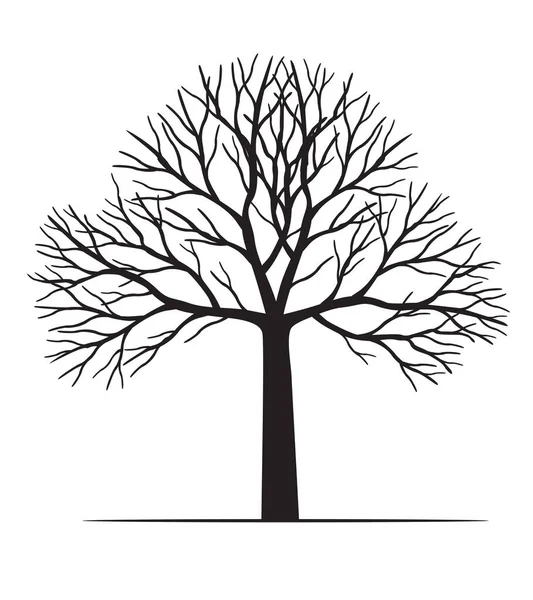 Forma Árvore Negra Sem Folhas Esboço Vetorial Ilustração Planta Jardim — Vetor de Stock
