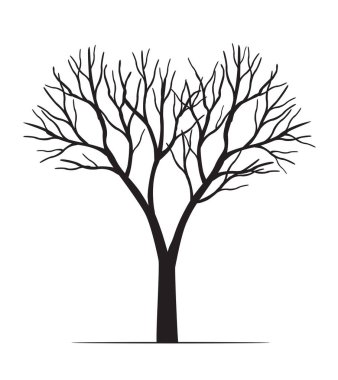Shape of Black Tree without leaves. Vector outline Illustration. Plant in Garden.