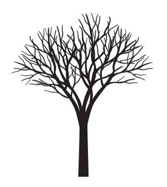 Shape of Black Tree without leaves. Vector outline Illustration. Plant in Garden.