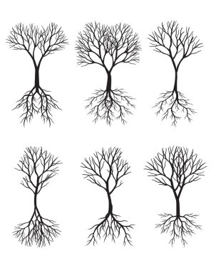 Set of black Trees. Vector outline Illustration.
