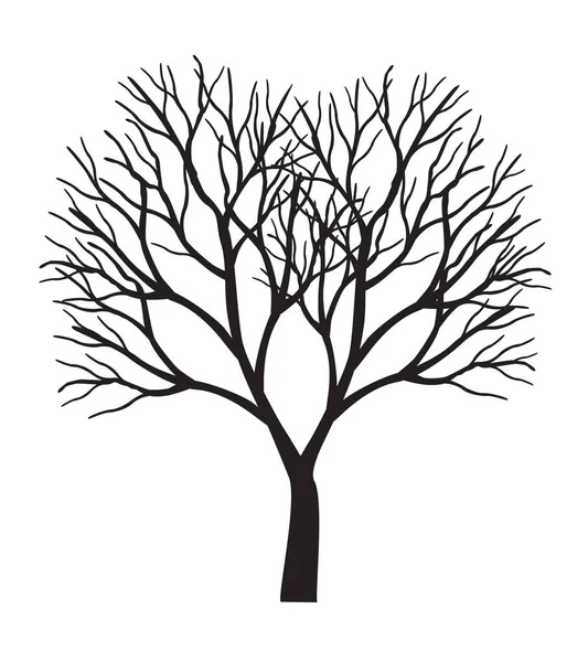 Form Des Schwarzen Baumes Ohne Blätter Vektorskizze Illustration Pflanze Garten — Stockvektor