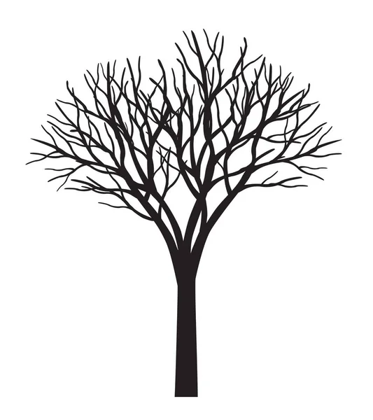 Forma Árvore Negra Sem Folhas Esboço Vetorial Ilustração Planta Jardim — Vetor de Stock