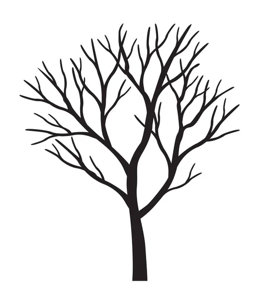Forma Árvore Negra Sem Folhas Esboço Vetorial Ilustração Planta Jardim —  Vetores de Stock