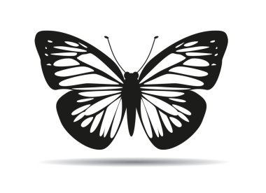 Butterfly Wings Icons. Vector Illustration and outline.