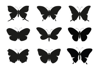 Set Butterfly Wings. Vector Illustration and outline Icons. Symbol of freedom.