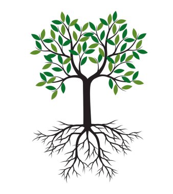 Shape of Spring Tree with Leaves and Roots. Vector outline Illustration. Plant in Garden.