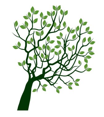 Shape of green Tree with Roots. Vector outline Illustration. Plant in Garden.