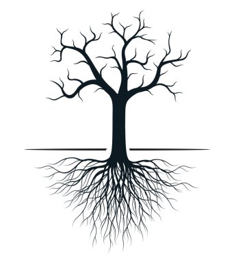 Black appleTree with Roots. Vector outline Illustration. Plant in Garden.