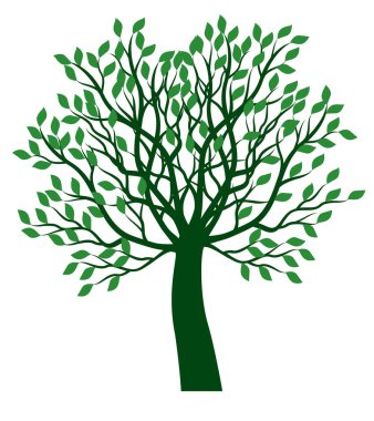 Yaprakları ve kökleri olan ağaç şekli. Vektör taslağı çizimi. Bahçede Bitki.